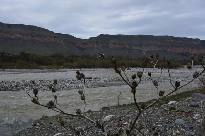 DSC_0866 (700x467, 364Kb)