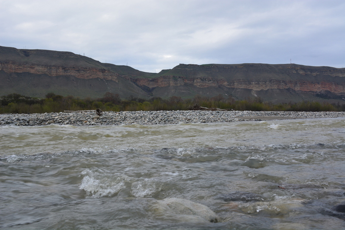 DSC_0868 (700x467, 330Kb)