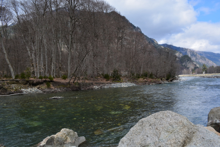 DSC_0872 (700x467, 383Kb)