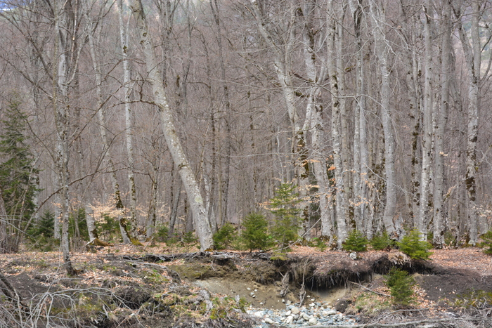 DSC_0876 (700x467, 482Kb)