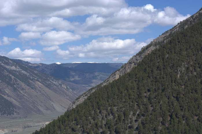 DSC_1037 (700x466, 332Kb)