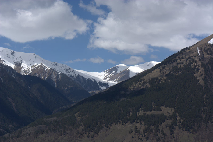 DSC_1039 (700x466, 261Kb)