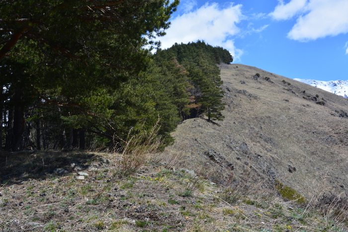 DSC_1048 (700x467, 452Kb)