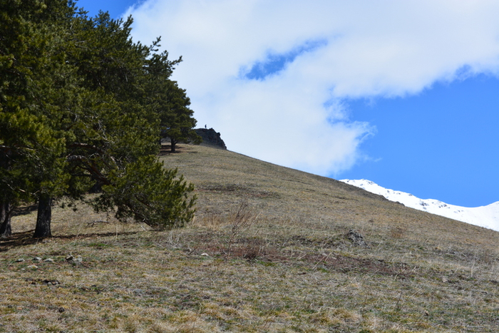 DSC_1058 (700x467, 404Kb)