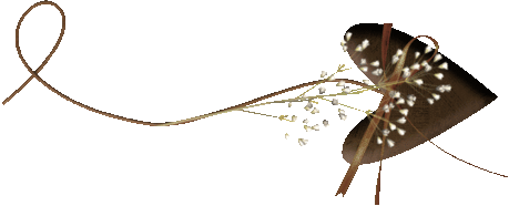 proxy.imgsmail.ru (459x186, 14Kb)