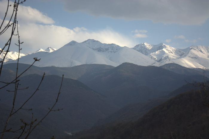 DSC_1207 (700x466, 212Kb)