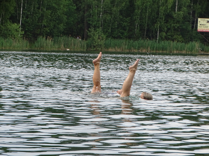 DSC00135 (700x525, 506Kb)