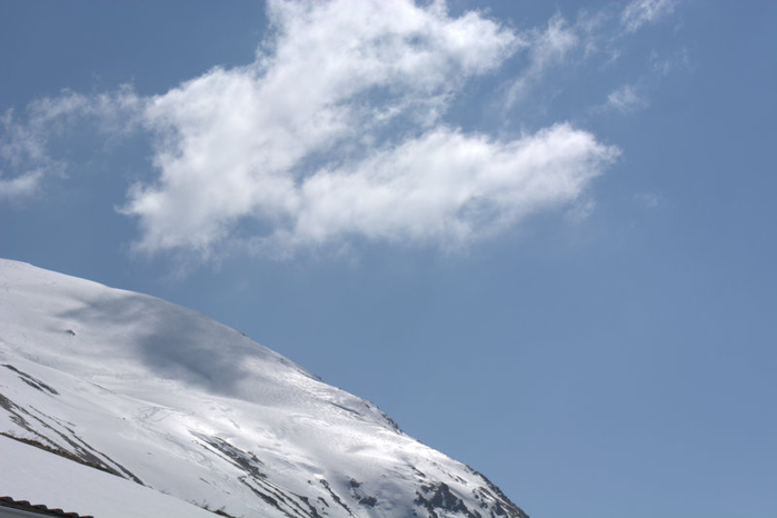 DSC_1076 (700x466, 166Kb)