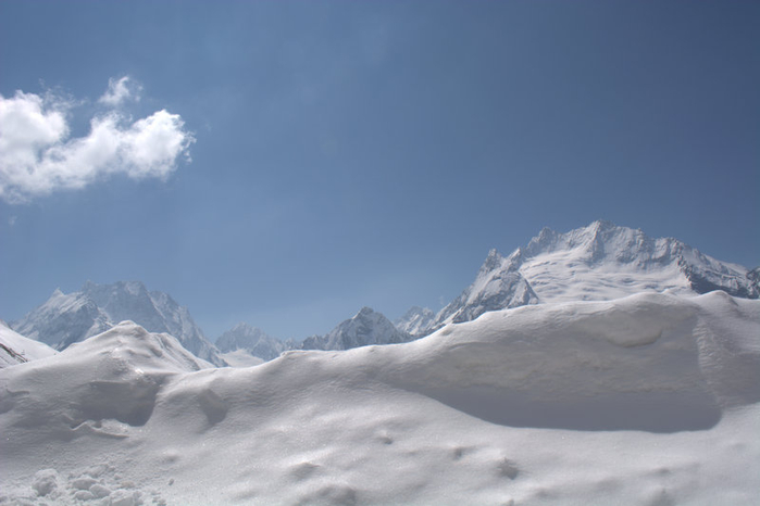DSC_1087 (700x466, 179Kb)