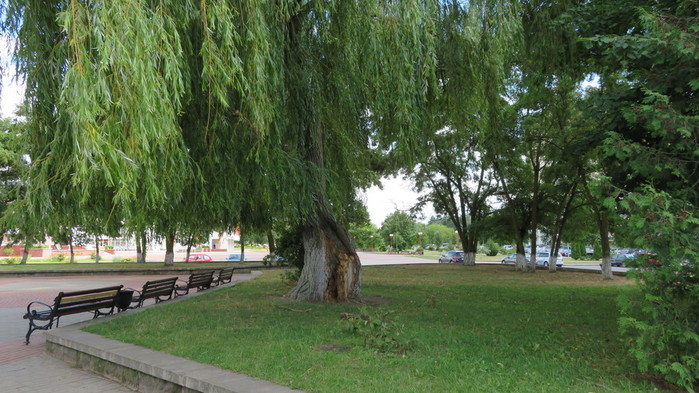 IMG_0213 (700x393, 119Kb)