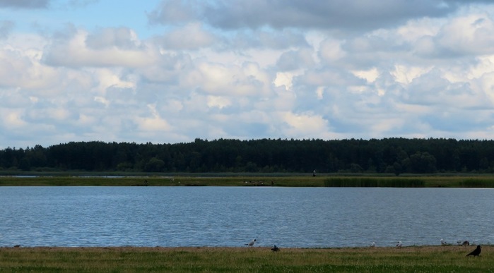 IMG_0432 (700x387, 62Kb)