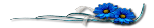 2714816_12 (300x56, 17Kb)