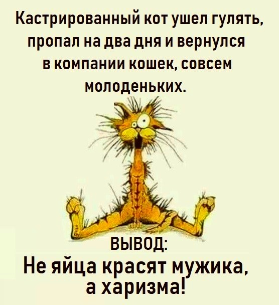 IMG-20190718-WA0193 (556x608, 69Kb)