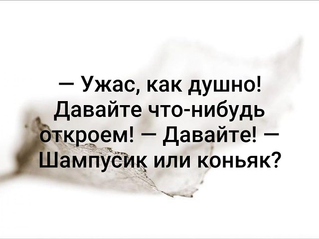 Открой что нибудь. Ужас как душно давайте что-нибудь. Ужас как душно. Душно давайте что-нибудь откроем. Очень душно.