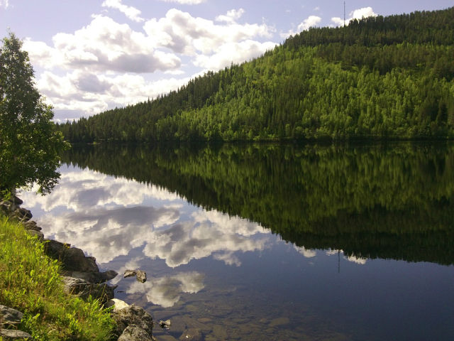 114952346_large_08 (640x480, 69Kb)