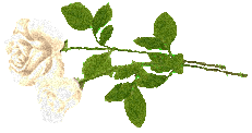 129005358_532 (231x122, 68Kb)