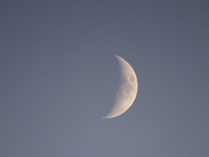 DSC00355 (700x525, 275Kb)