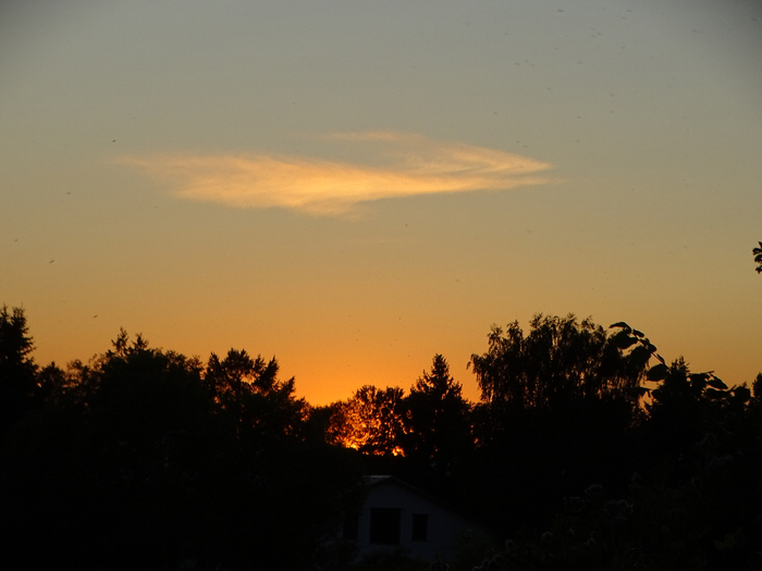 DSC00360 (700x525, 256Kb)