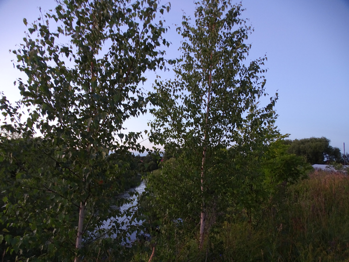 DSC00376 (700x525, 516Kb)