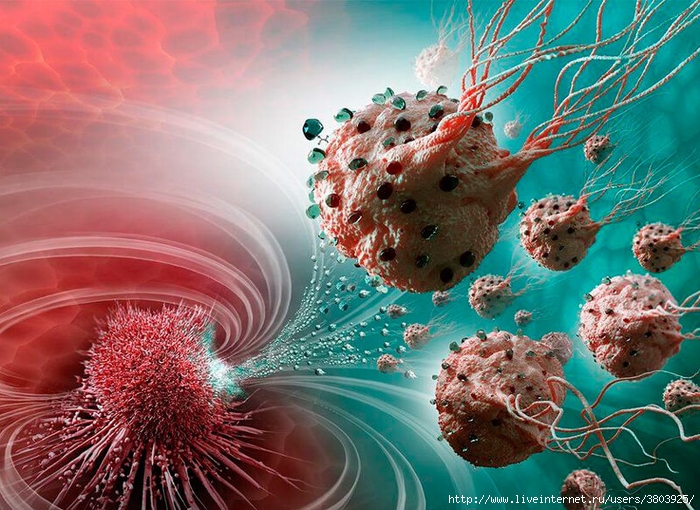 content_cancer-cells-medical-illustration (700x510, 347Kb)