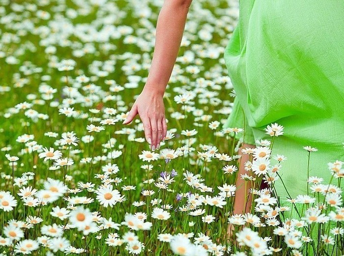 149452889_image (700x521, 481Kb)
