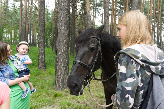 DSC00332 (640x426, 367Kb)