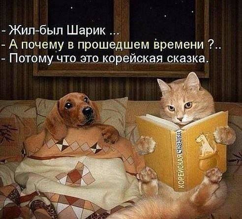 24371364_original (492x446, 44Kb)