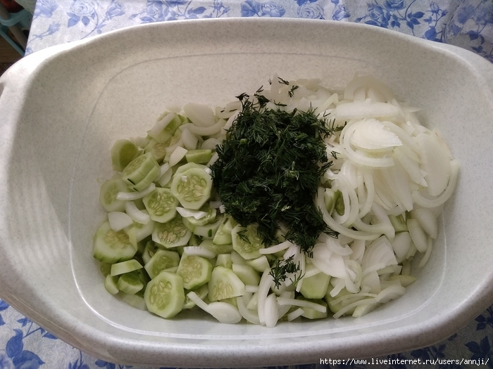 6335022_IMG_20190730_175544 (700x525, 264Kb)