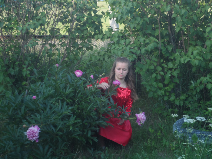 SAM_3310 (700x525, 464Kb)