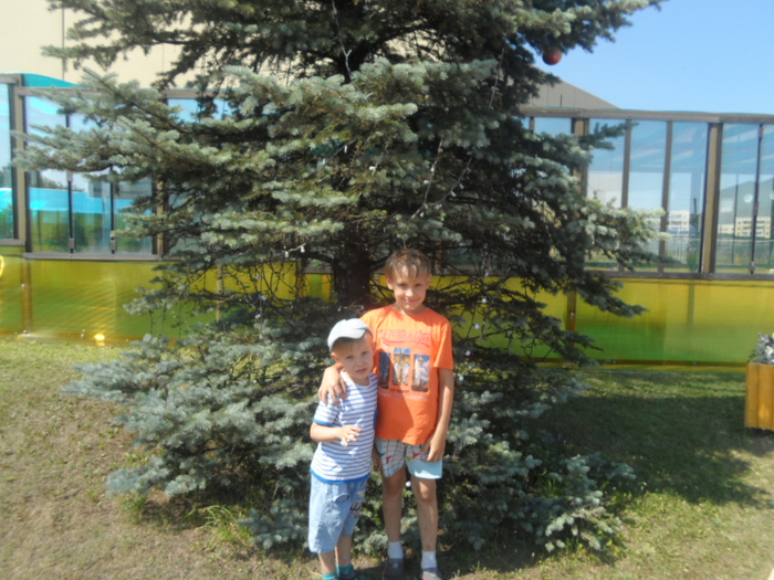 SAM_3333 (700x525, 452Kb)