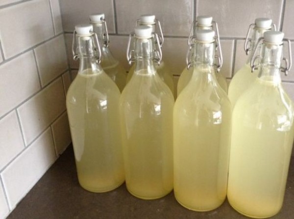 ginger-beer-prevents-cancer-cures-arthritis-stomach-600x446 (600x446, 43Kb)