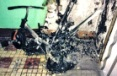 fire_velo2 (117x76, 12Kb)