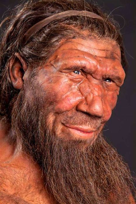 f1108dd8image_3548_1neanderthal (466x700, 77Kb)
