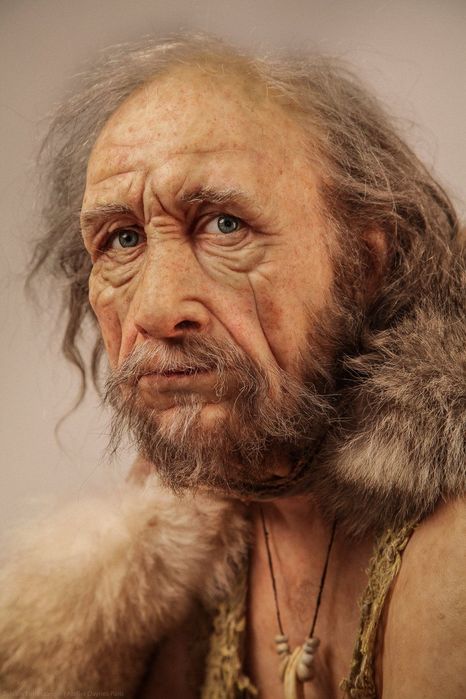Cro-Magnon_4_09150858 (466x700, 55Kb)
