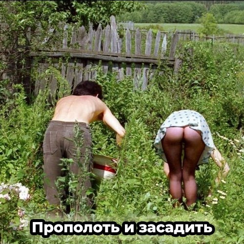 IMG-20190515-WA0020 (1) (500x500, 130Kb)