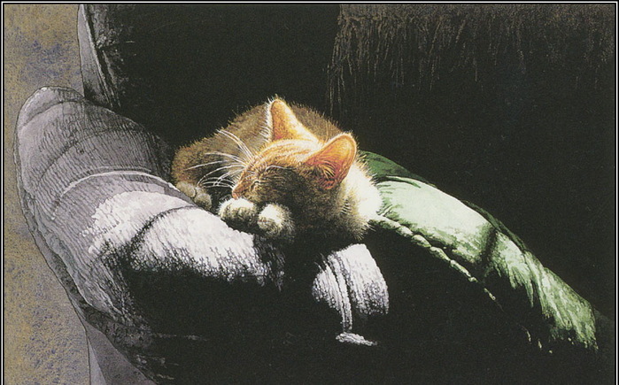 Suellen Ross Котенок в кресле (700x435, 120Kb)