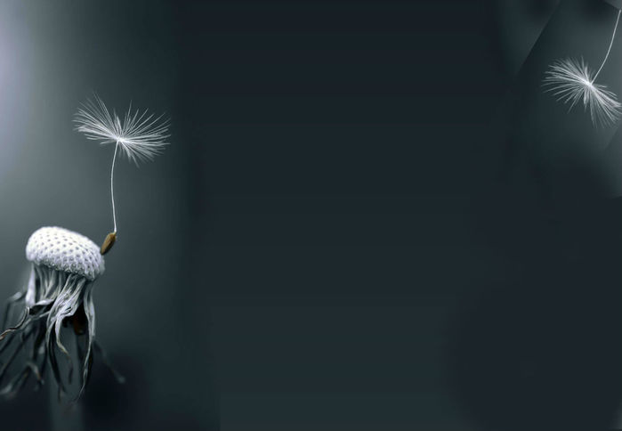  Peter Wyss-2 (700x484, 17Kb)