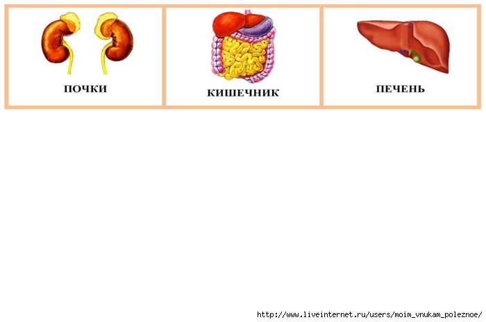 kZLyu8_4LmU (700x464, 69Kb)