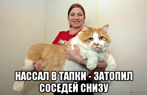 12 (604x391, 50Kb)