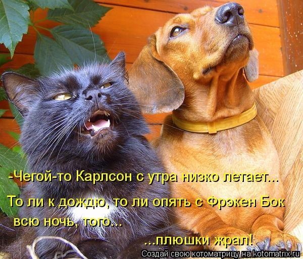 PQtKGPjAEKM (600x514, 131Kb)
