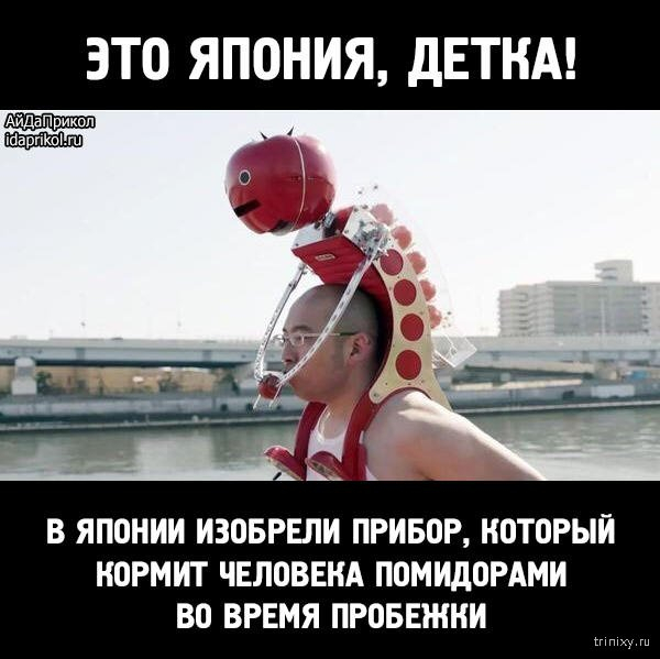 011-помидоры (600x599, 140Kb)