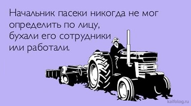 А мужики на дороге не валяются. Анекдот про тракториста. Цитаты про трактористов. Анекдоты про трактористов смешные. Тракторист афоризм.