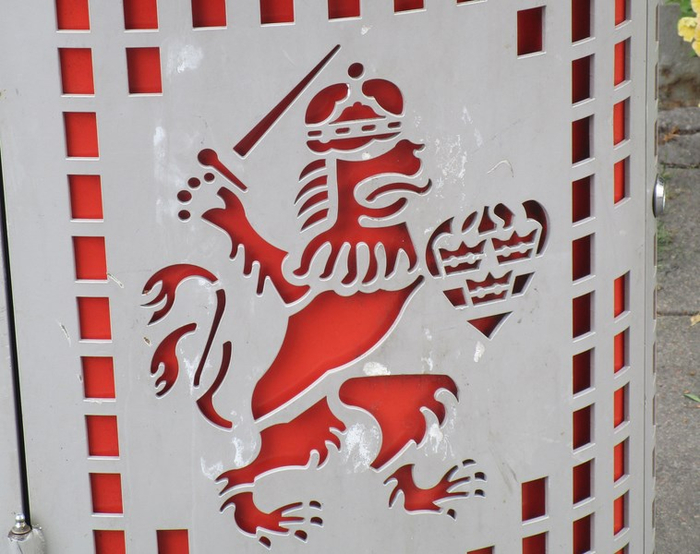 IMG_4975 (700x554, 347Kb)