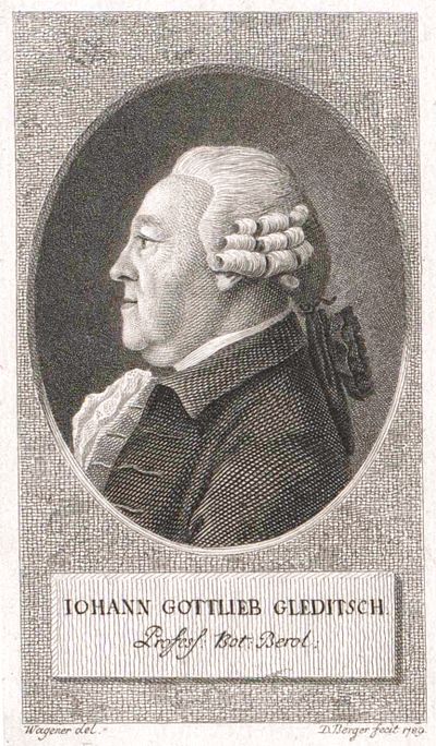 Johann_Gottlieb_Gleditsch (400x684, 92Kb)
