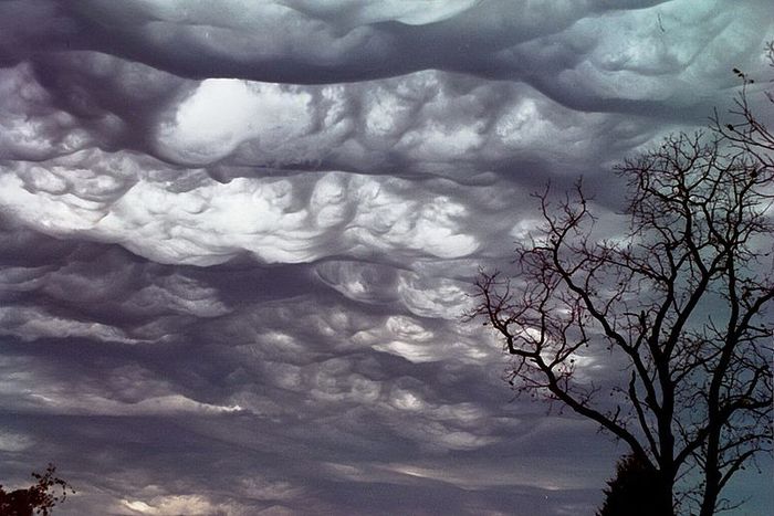 Stratocumulus (700x467, 63Kb)