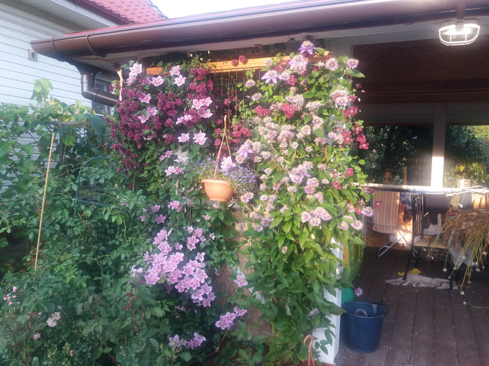 20190820_193106 (700x525, 511Kb)