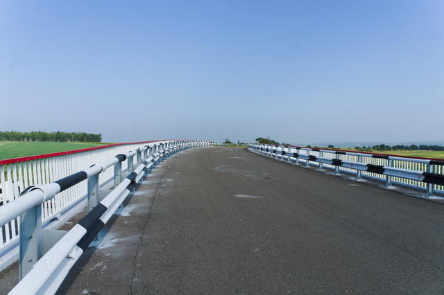 DSC00359 (640x426, 203Kb)