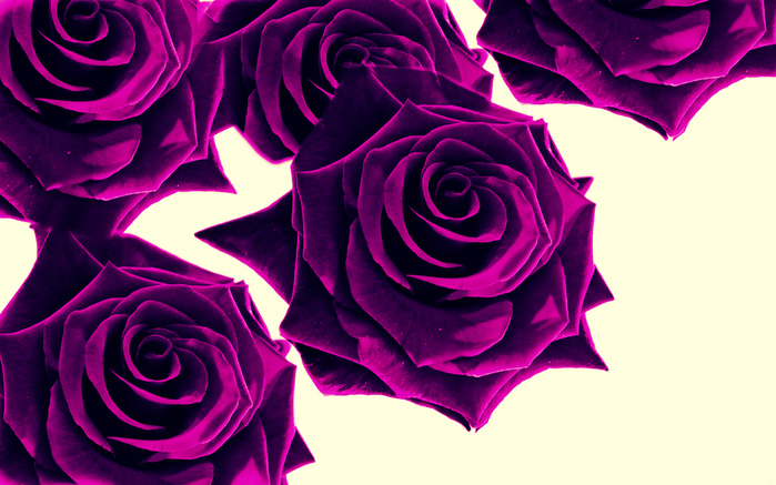 349875836 (700x437, 246Kb)