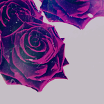 industrialstrawberry-2 (150x150, 35Kb)
