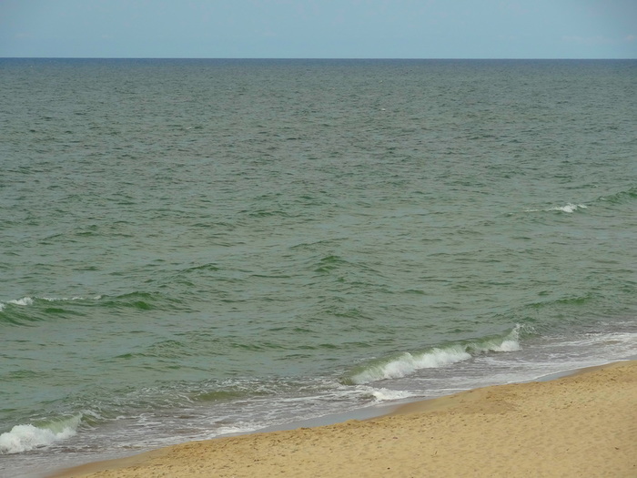 DSC04813 (700x525, 121Kb)
